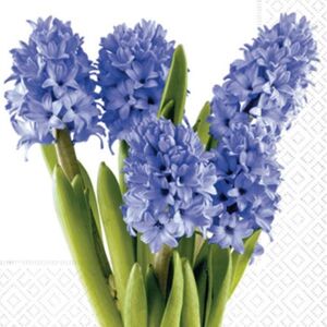 Servítky na dekupáž Hyacinths - 1 ks
