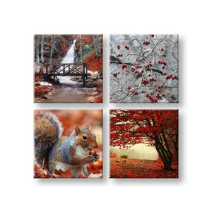 Obraz na stenu Beauty of Autumn 4 dielny XOBKOL11E42 (moderné obrazy na plátne )